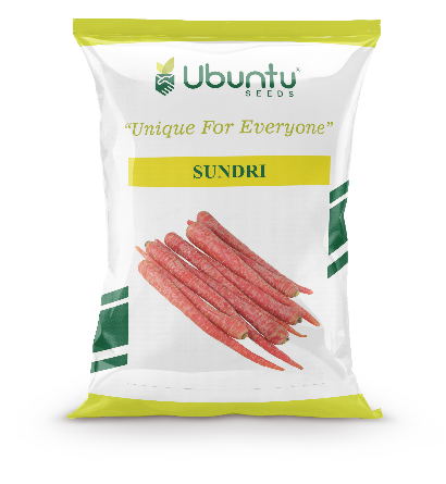 UBUNTU SEEDS