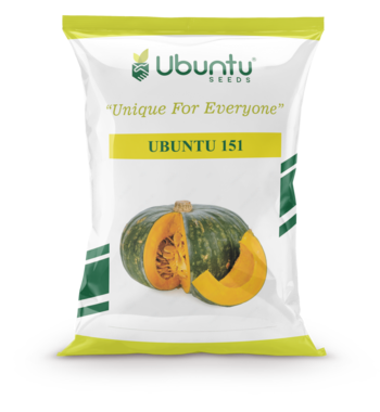 UBUNTU SEEDS