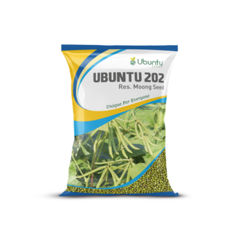 UBUNTU SEEDS