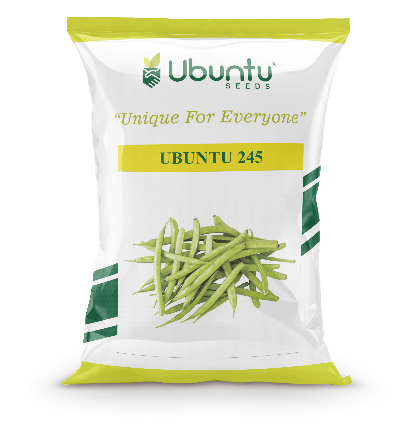 UBUNTU SEEDS