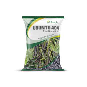 UBUNTU SEEDS