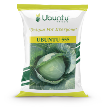 UBUNTU SEEDS