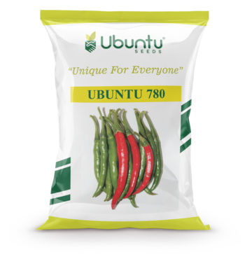 UBUNTU SEEDS