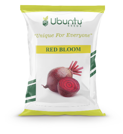 UBUNTU SEEDS